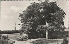 RHENEN - Gezicht op de Koerheuvel