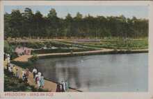 APELDOORN - Berg en Bos