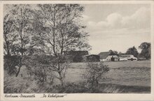 HEELSUM - DOORWERTH - De Kabeljauw