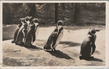 RHENEN - Ouwehands Dierenpark op de Grebbeberg