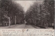 APELDOORN - Groet uit Apeldoorn, Loolaan