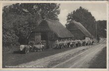 ERMELO - Schaapskooi op de Veluwe bij Ermelo