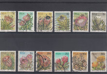 South Africa 1977. Succulents USED