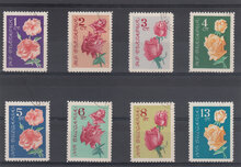 Bulgaria 1962. Bulgarian Roses SG 1313-1320 USED