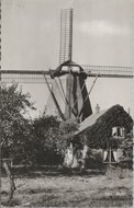 EDE - Molen