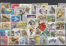 Birds 40 Different Stamps Lot