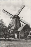 EDE - Molen bij Station