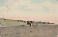 ZANDVOORT - Langs het strand