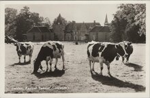 DELDEN - Kasteel Twickel