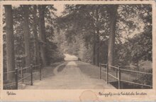 DELDEN - Bruggetje in de Twickelsche bosschen