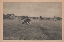 OOTMARSUM - Gezicht op Ootmarsum