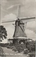 KAMPEN - Molen De Olde Zwarver