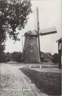 SAASVELD - Molen, Groeten uit Saasveld