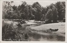 DENEKAMP - Dinkel in 't Lutterzand