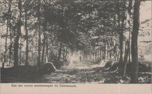 OOTMARSUM - Een der mooie wandelwegen bij Ootmarsum