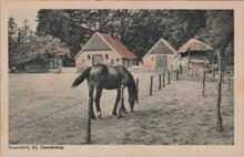 DENEKAMP - Boerderij bij Denekamp