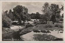 DENEKAMP - Dinkel in 't Lutterzand