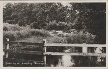 BEUNINGEN - Dinkel bij de Kampbrug