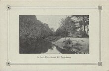 DENEKAMP - In het Sterrebosch bij Denekamp