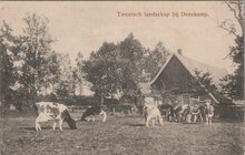 DENEKAMP - Twentsch landschap bij Denekamp