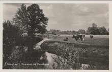 DENEKAMP - Dinkel op 't Singraven bij Denekamp