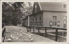 DENEKAMP - Eendjes bij de Watermolen