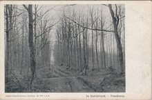 DENEKAMP - In Borchbosch