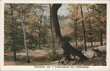 OLDENZAAL - Groeten uit 't Lutterzand bij Oldenzaal