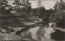 DENEKAMP - Dinkel in 't Lutterzand