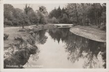 DENEKAMP - Dinkel in Beuningen