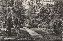 DENEKAMP - Wandelpaadje in het Lutterzand