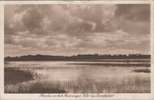 DENEKAMP - Heiplas in het Beuninger Veld bij Denekamp