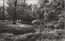 LOSSER - Het Lossersezand