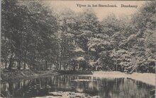 DENEKAMP - Vijver in het Sterrebosch