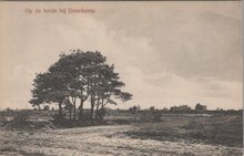 DENEKAMP - Op de Heide bij Denekamp