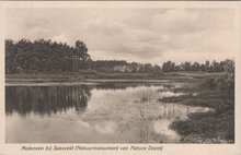 SAASVELD - Molenven bij Saasveld (Natuurmonument van Natura Docet)