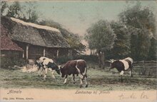 ALMELO - Landschap bij Almelo