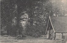 DE LUTTE - bij Oldenzaal. Klein Oud - Kruiselt