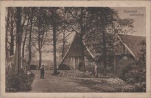 TWENTE - Twentsch Landschap