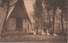 TWENTE - Twentsch Landschap achter de Boerderij