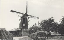 DINXPERLO - De Heurne-Teunismolen