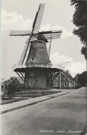 THESINGE - Molen Germania