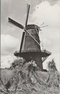 RUURLO - Molen