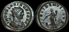 Florian. AD-276.-Antoninianus-25mm-4.28-g.-Rome