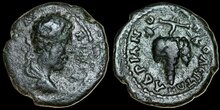 Thrace, Hadrianopolis, Commodus. AD 177-192. Æ 18mm, 2.94 g. Grapes