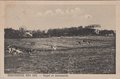 OOSTVOORNE-AAN-ZEE-Koepel-en-Zonnevanck