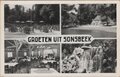 ARNHEM-Meerluik-Groeten-uit-Sonsbeek