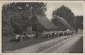 ERMELO-Schaapskooi-op-de-Veluwe-bij-Ermelo