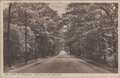 DE-LUTTE-bij-Oldenzaal.-Straatweg-naar-Bentheim