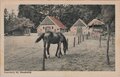 DENEKAMP-Boerderij-bij-Denekamp